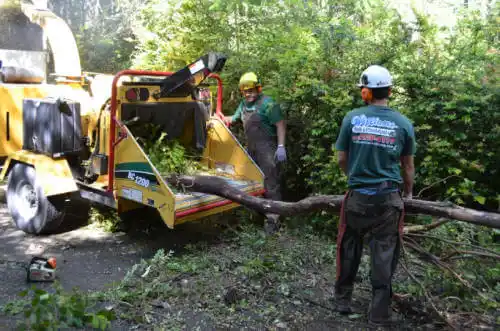 tree services Pimaco Two